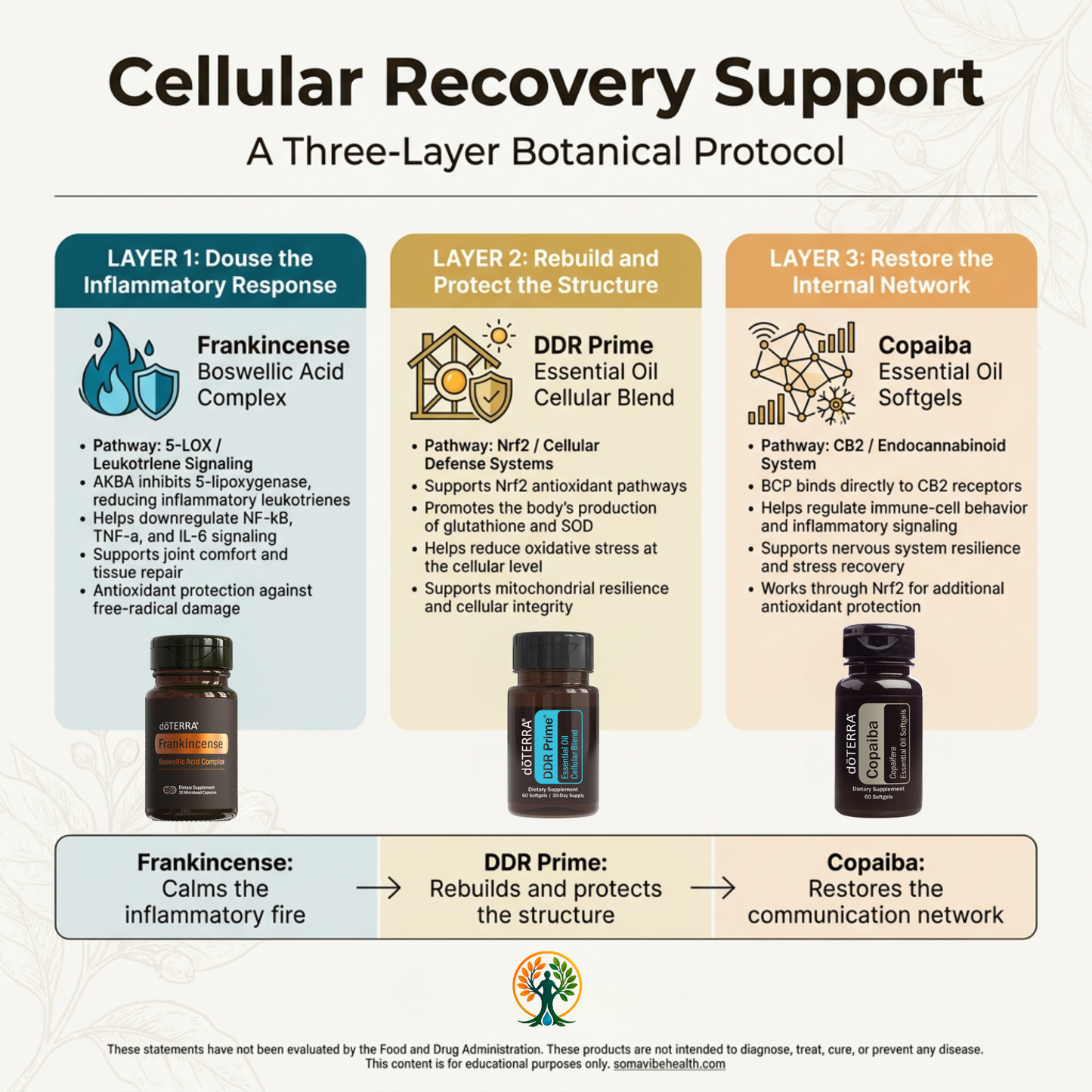Cellular Recovery Protocol