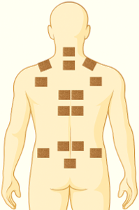 QELBY® Hesperidin Patch | 3-Round Microcirculation Starter
