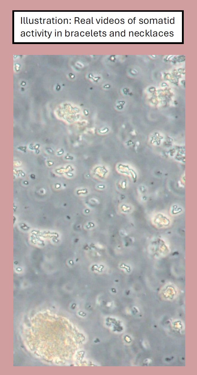 QELBY Jewelry – Wearable Cellular Energy for Circulation, Vitality & Balance - Necklace