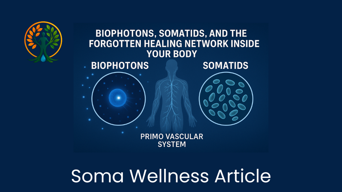 How Biophotons and Somatids Unlock Your Body’s Hidden Healing Network