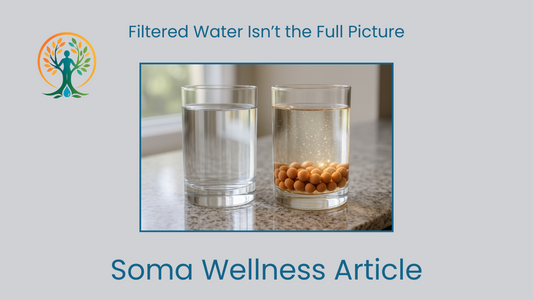 The Truth About Filtered Water vs QELBY: What Your Body Really Needs