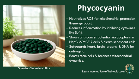 Learn About Phycocyanin: Nature's Antioxidant from Spirulina for Cellular Health and Longevity