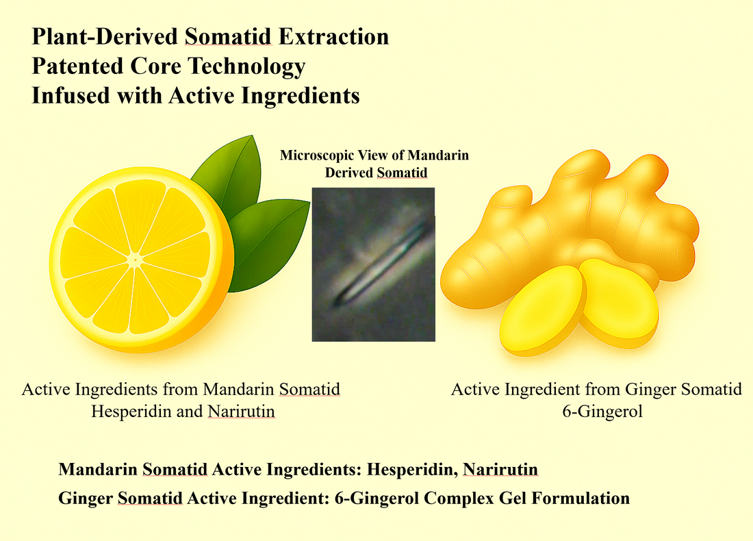 How QELBY® Hesperidin Patches Work: The Science Behind Citrus Somatids, Gingerol, and EZ-Water Gel Technology