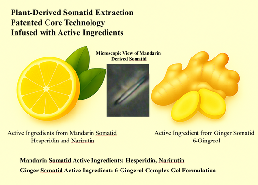How QELBY® Hesperidin Patches Work: The Science Behind Citrus Somatids, Gingerol, and EZ-Water Gel Technology