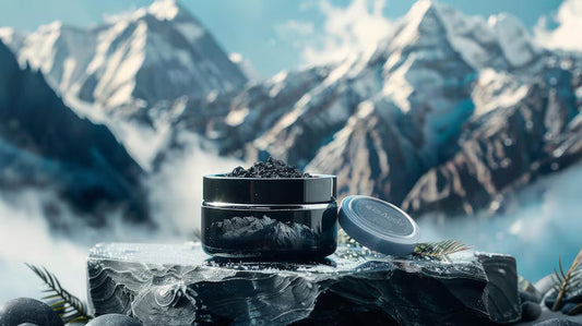 Shilajit: Nature’s Ancient Phytocomplex for Modern Mitochondrial Health