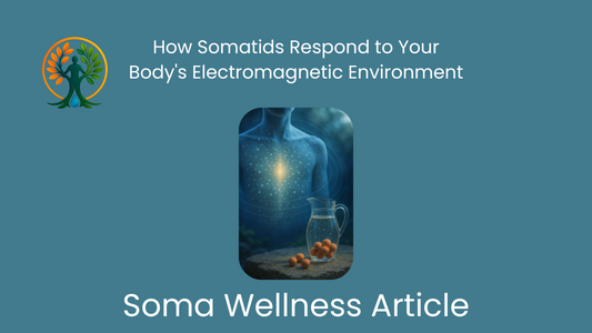 How Somatids Respond to Your Body's Electromagnetic Environment