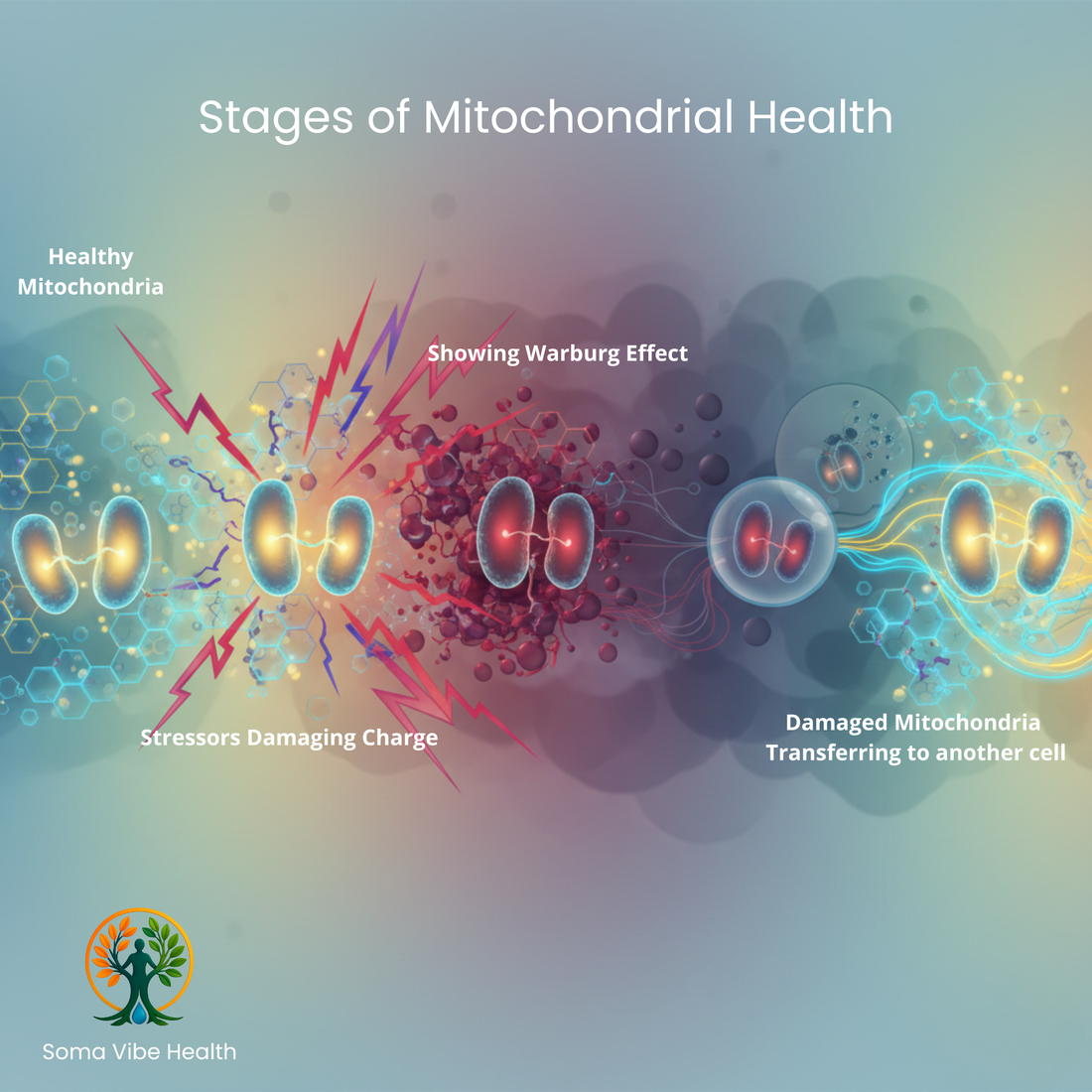 When Mitochondria Go Rogue: How Failing Energy Engines Spark Disease